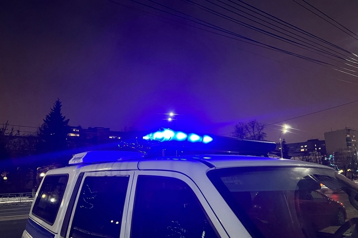 "Художница" из Тверской области стала вандалкой и попала в полицию