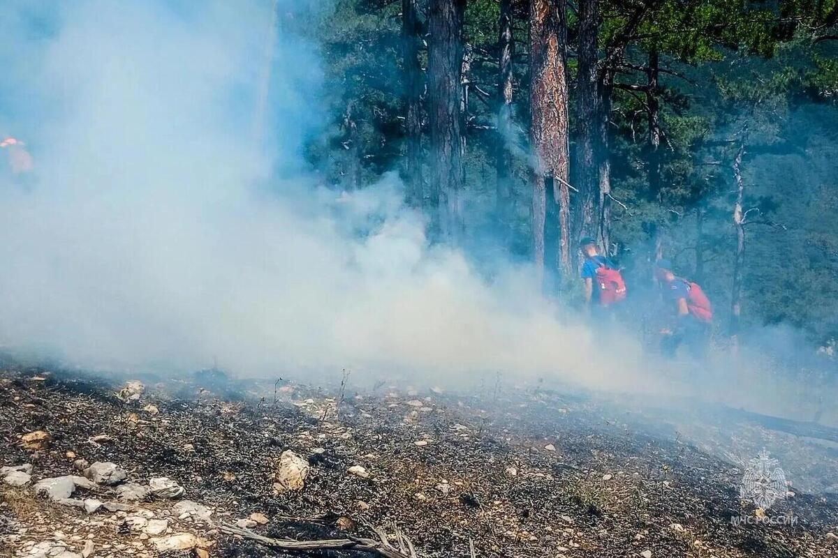 В Ялте ветер осложняет тушение лесного пожара