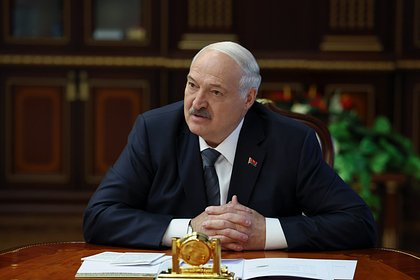 Лукашенко высоко оценил практику отправки нерадивых крестьян в армию