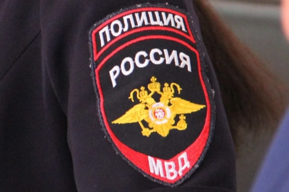 В убийстве доцента МГУ Каменевой обвинили ее 17-летнего сына