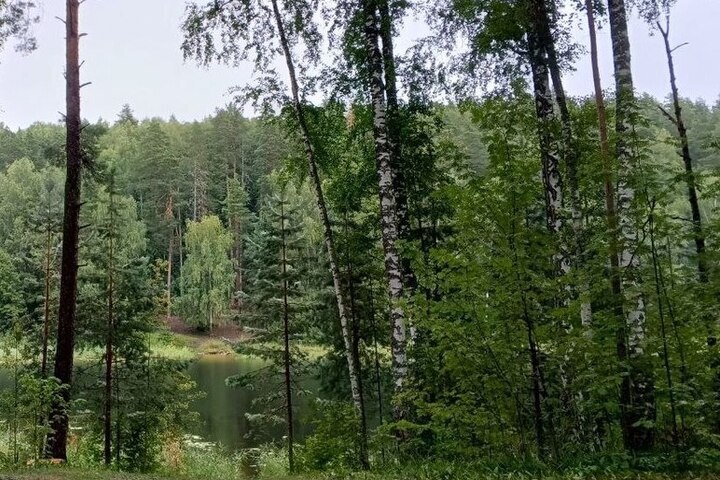 На Алтае МЧС предупредило о рисках встречи с дикими животными в лесах