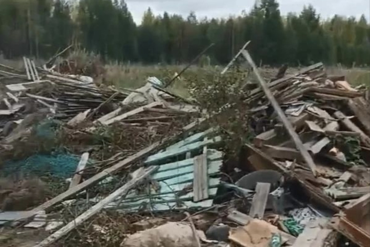 В поселке Ясный Пинежского округа свалка разрослась до 150 кв метров