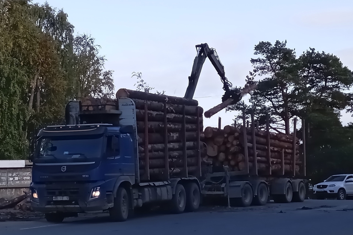 Лесовоз «разгрузился» сегодня на остановке в Соломенном: обошлось без жертв