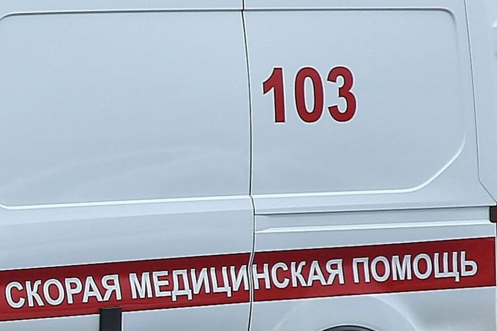 Врач предупредил, что плесень в доме вызывает аллергию и астму