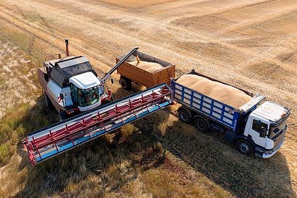 На вывоз зерна из России выделят почти десять миллиардов рублей