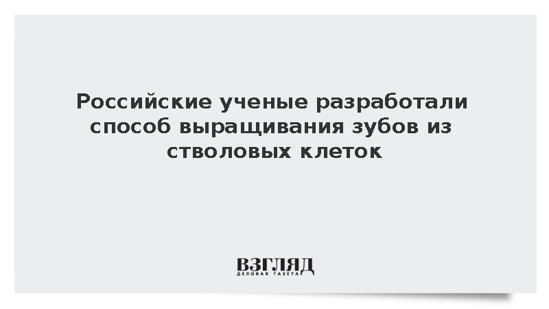 Российские ученые смогли вырастить зубы из стволовых клеток