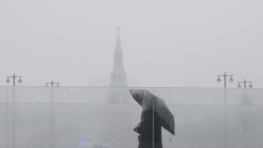 Жителей Московского региона предупредили о густом тумане до утра 28 августа