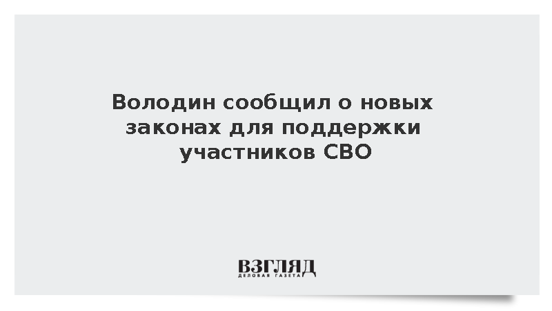Володин анонсировал законы о поддержке участников СВО и борьбе с мошенниками