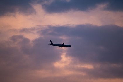 Два аэропорта Москвы частично приостановили работу