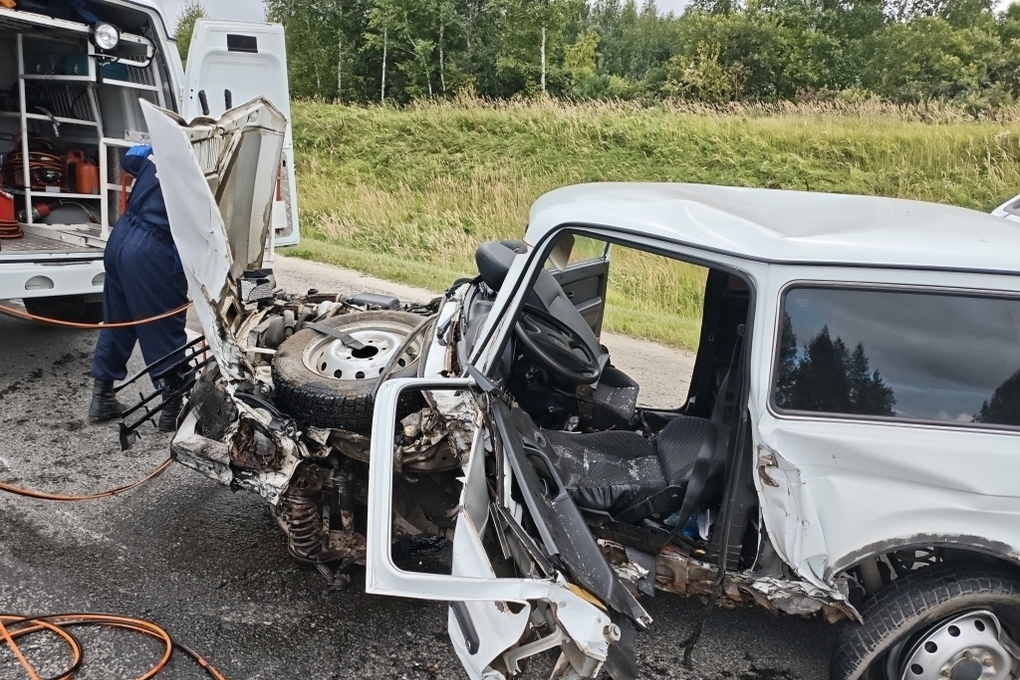 Спасатели деблокировали водителя после ДТП на М5 в Пензенской области