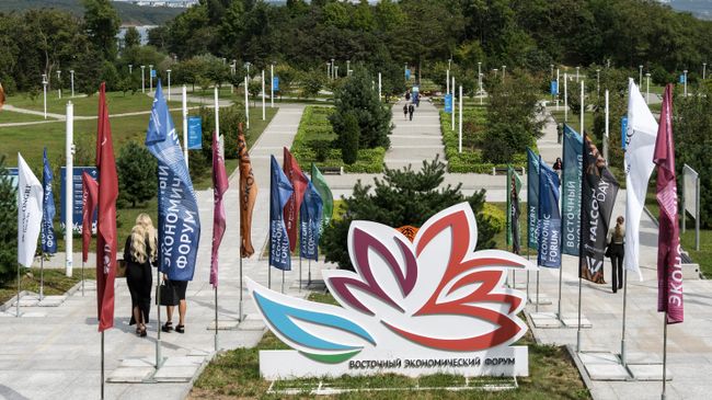 Погодный сайт запустили для участников Восточного экономического форума