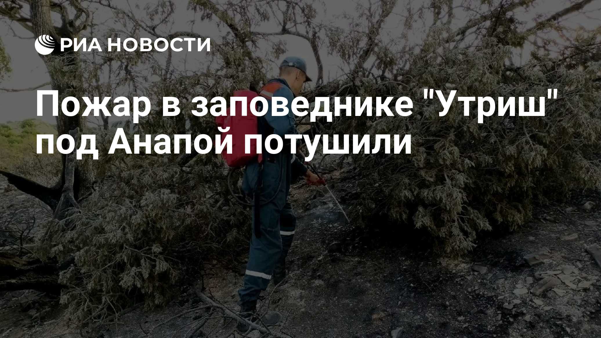 Пожар в заповеднике "Утриш" под Анапой потушили
