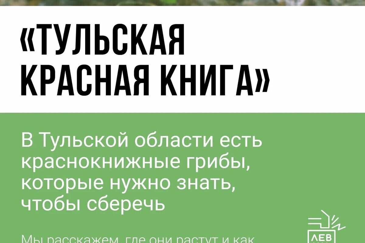 Названы краснокнижные грибы Тульской области, которые опасно есть