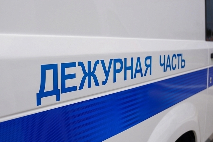 Любителя чужих арбузов и дынь задержали в Липецке