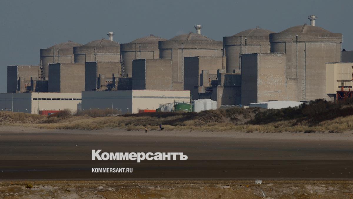 Нашествие медуз нарушило работу крупнейшей АЭС Франции