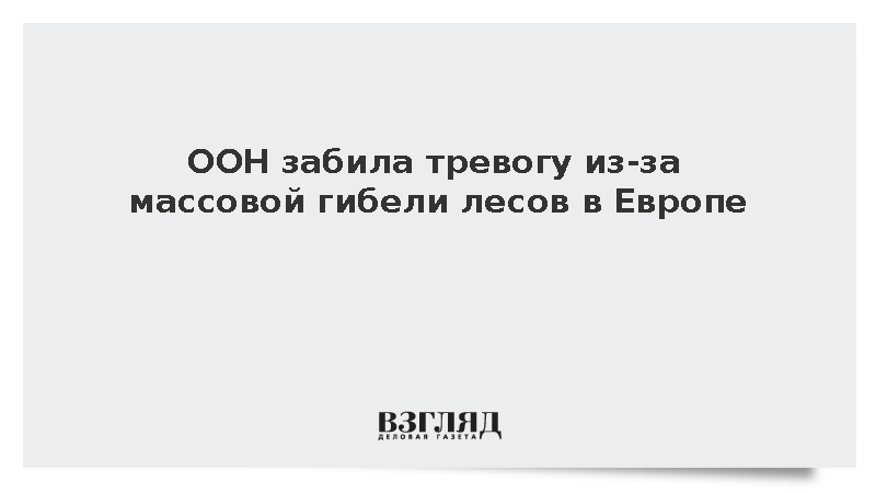 Зафиксировано масштабное усыхание европейских лесов из-за жары