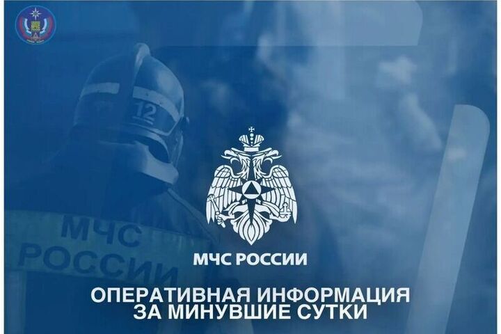 В Брянской области за сутки ликвидировали шесть пожаров