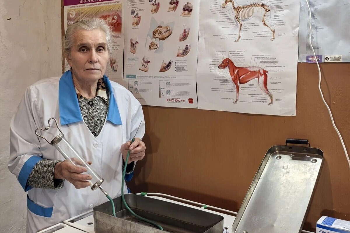 Костромские награды: ветеринар Валентина Бочкова получила звание заслуженного ветврача