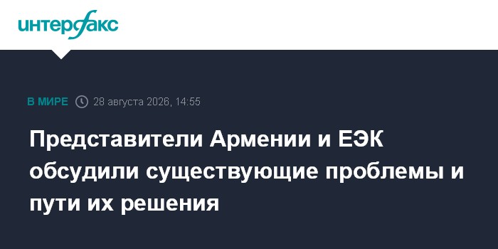 Представители Армении и ЕЭК обсудили существующие проблемы и пути их решения