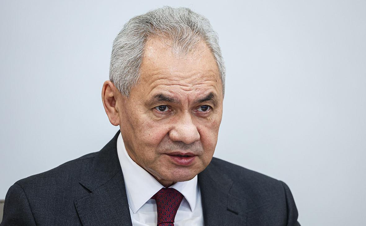 Шойгу заявил, что генерал Младич умер «в гаагских застенках»