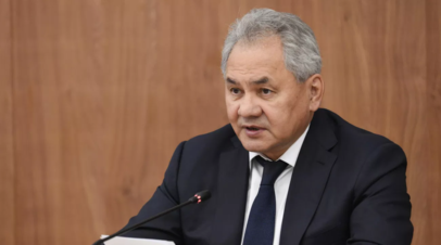 Шойгу выразил соболезнования в связи со смертью Младича
