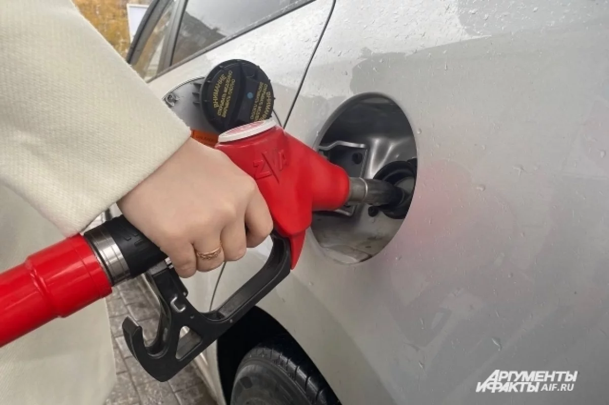 Борщевик против нефти. Бензин можно делать почти из любых отходов