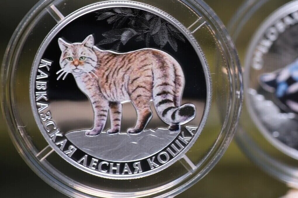 Кавказская лесная кошка изображена на новой памятной монете
