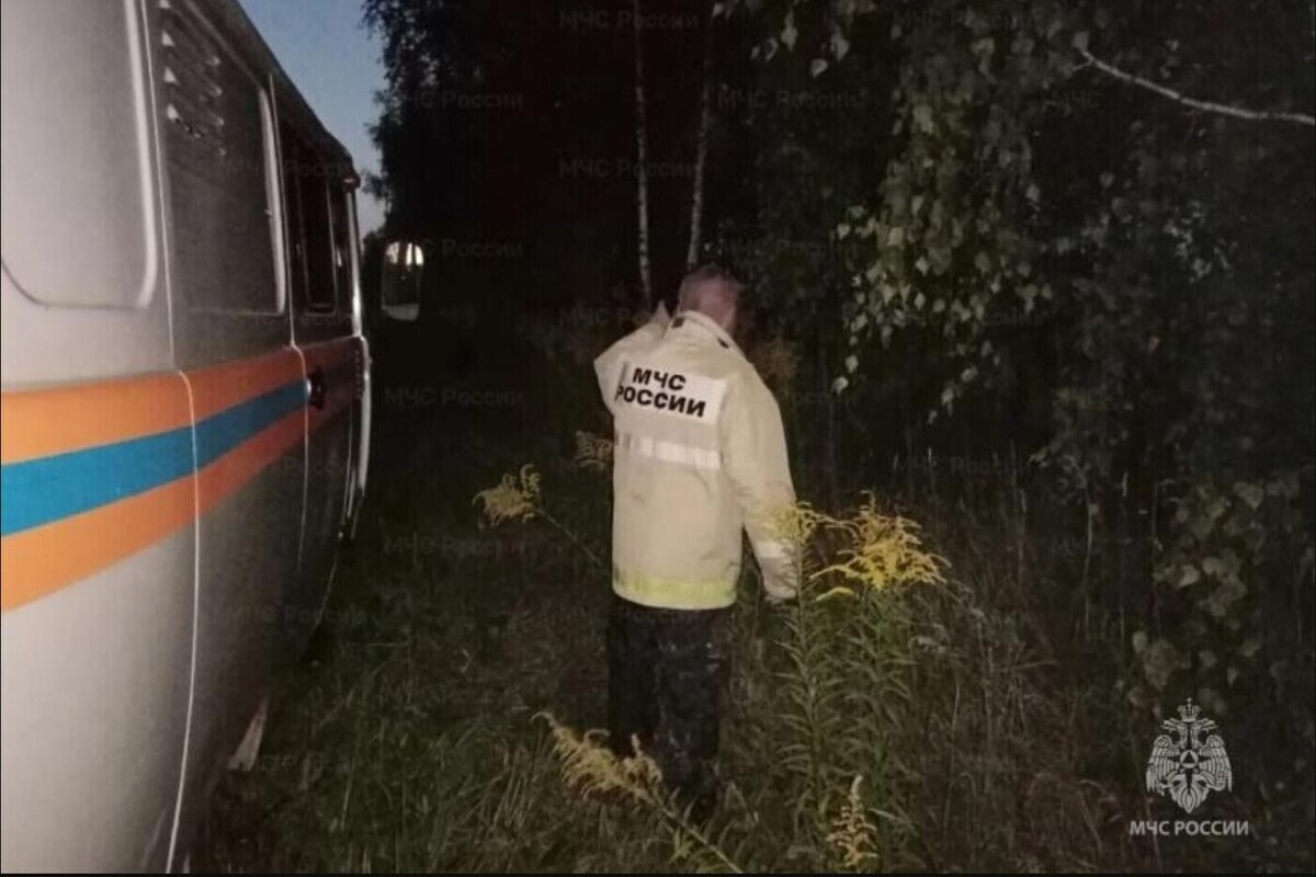 В Орловской области в лесу более 2 часов искали потерявшегося мальчика с особенностями здоровья
