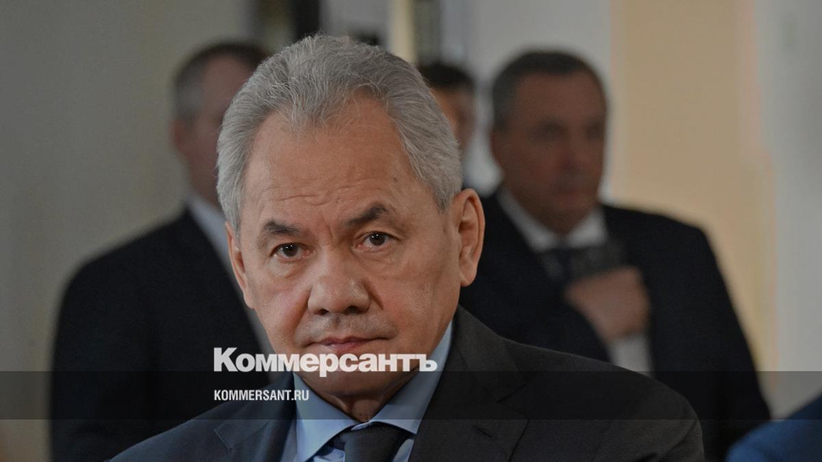 Секретарь Совбеза Шойгу выразил соболезнования в связи со смертью Ратко Младича
