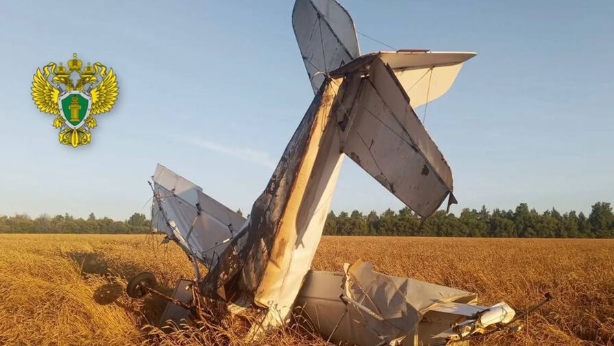Появилось видео с места крушения Ан-2 в Самарской области