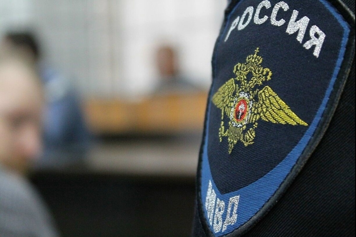 Под Курском внук вырастил на даче бабушки плантацию конопли