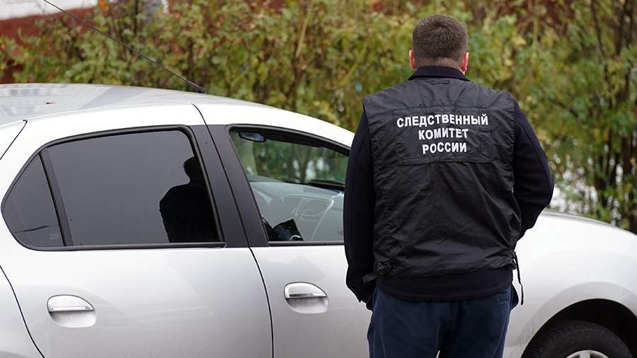 Двух школьниц заподозрили в жестокой расправе над подростком в Подмосковье. Что известно