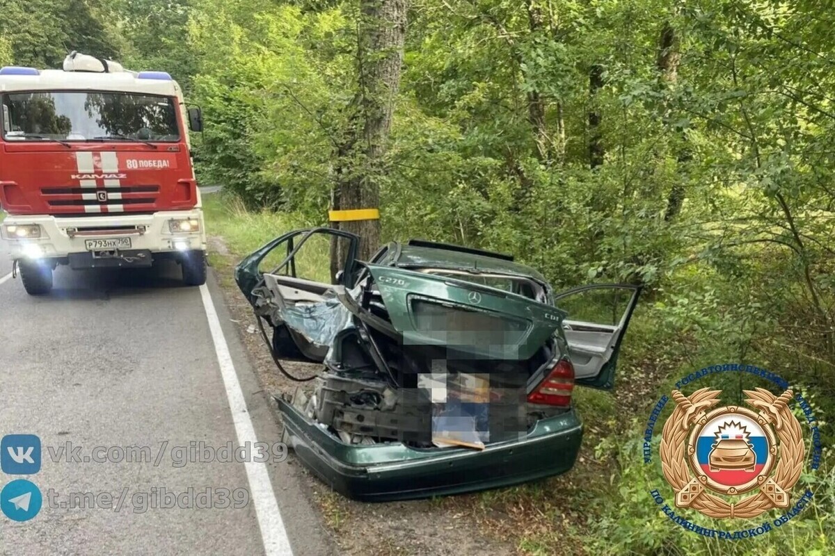 Молодого лихача на иномарке остановило дерево под Черняховском