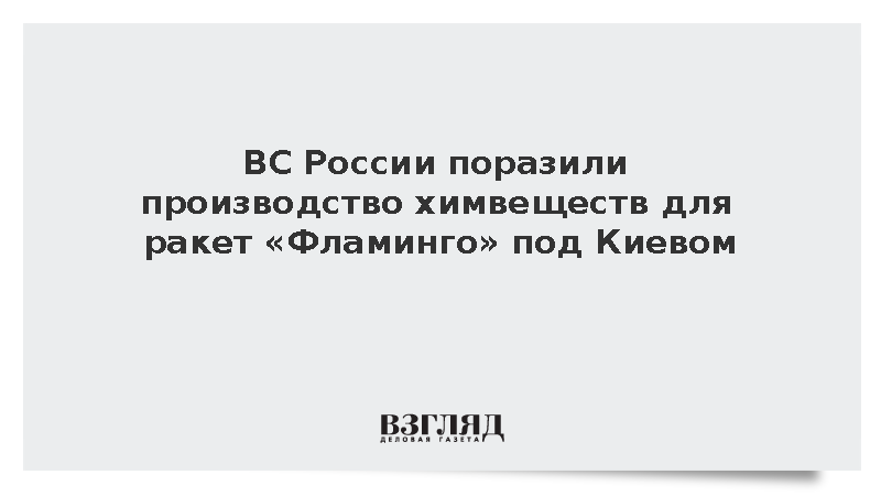 ВС России поразили производство химвеществ для ракет «Фламинго» под Киевом