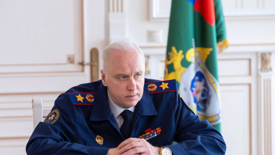 Бастрыкин запросил доклад по делу о расправе над 12-летним мальчиком в Подмосковье