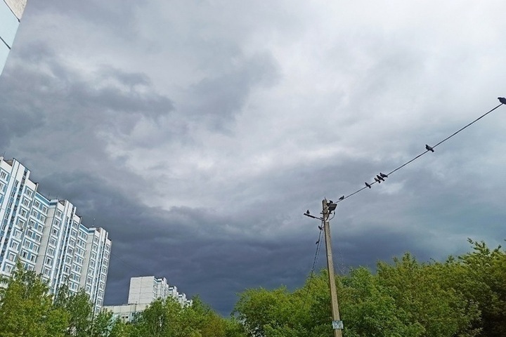 В Владимирской области ночью и утром 29 августа ожидается туман