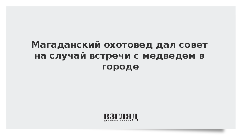 Охотовед Матерн дал совет на случай встречи с медведем в городе