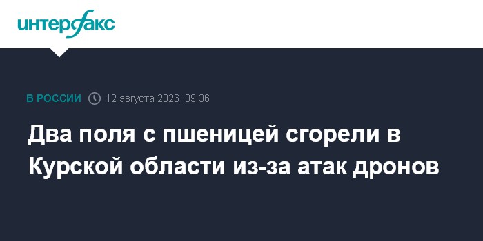 Два поля с пшеницей сгорели в Курской области из-за атак дронов