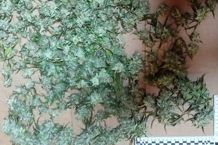 В Югре задержан молодой человек за незаконный оборот запрещённых веществ