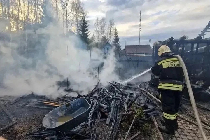 В Ленобласти 65 пожарных потушили 8 возгораний за сутки