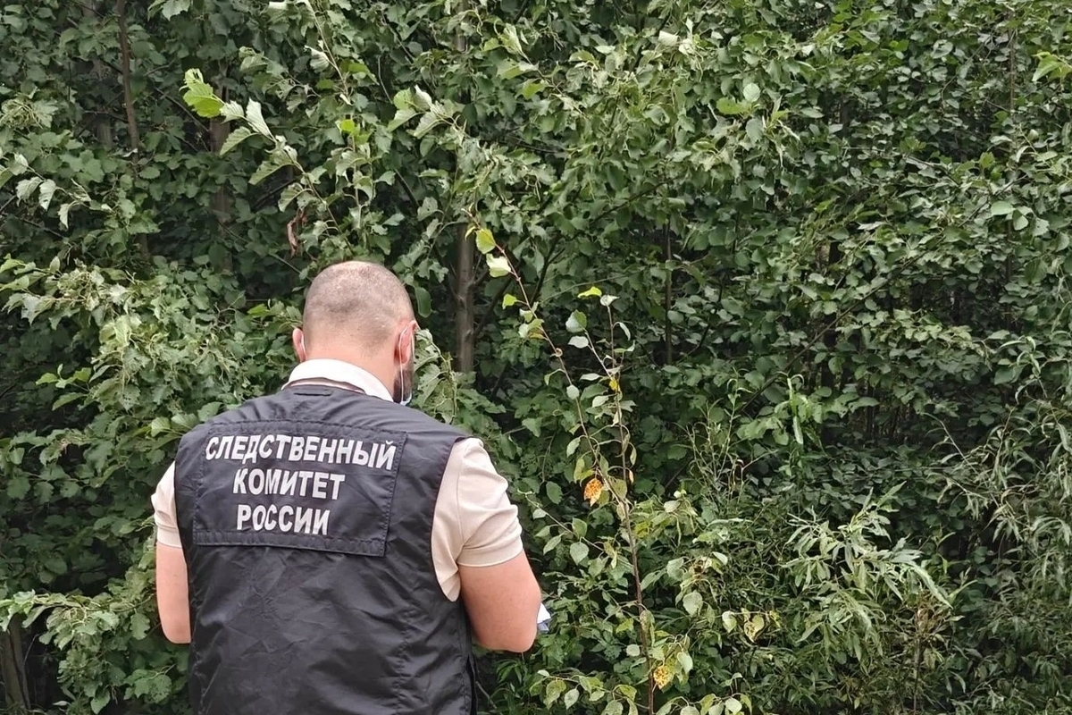 В Новодвинске задержали подозреваемого в зверском убийстве женщины
