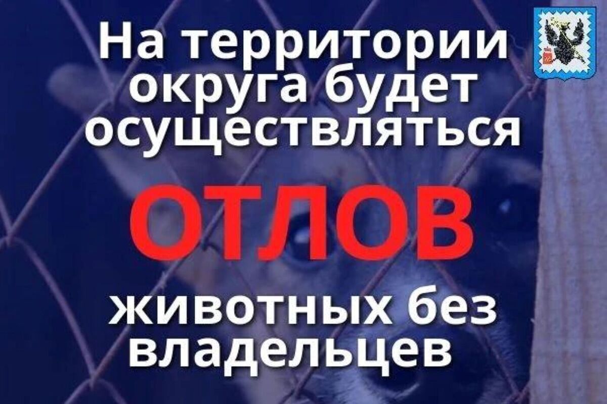 Жителям Мосальского округа посоветовали держать собак на привязи
