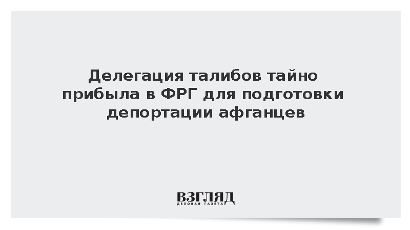 Делегация талибов тайно прибыла в ФРГ для подготовки депортации афганцев