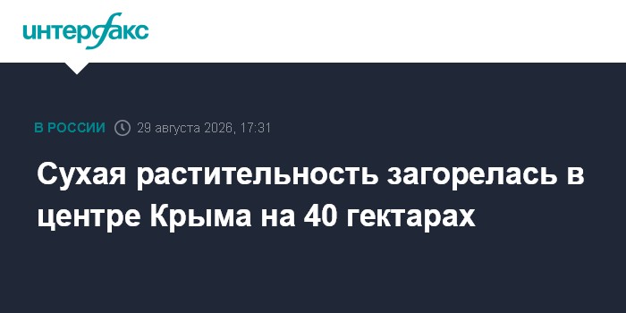 Сухая растительность загорелась в центре Крыма на 40 гектарах