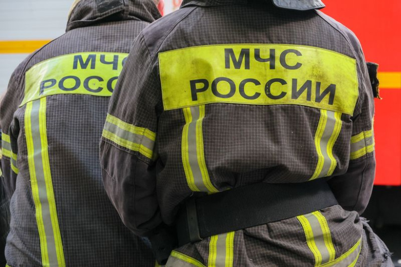 В российском регионе вспыхнул сухостой