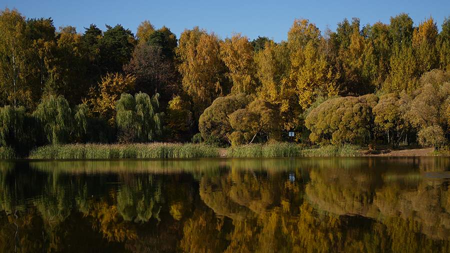 Сын петербургского режиссера Демкина утонул в Ленобласти