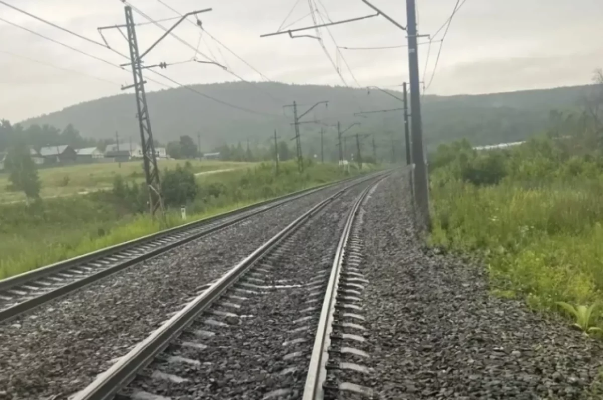 В Ленобласти поезд сбил насмерть двух человек