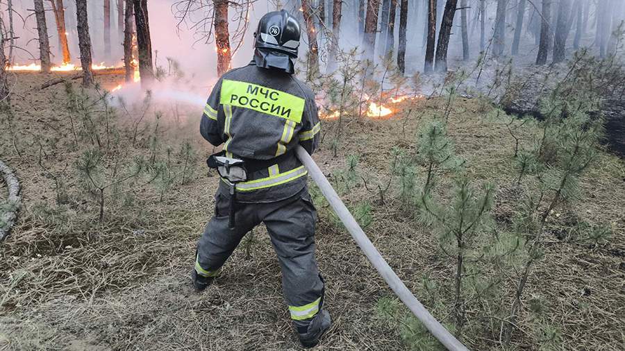 Лесной пожар на площади 170 га произошел в Ростовской области