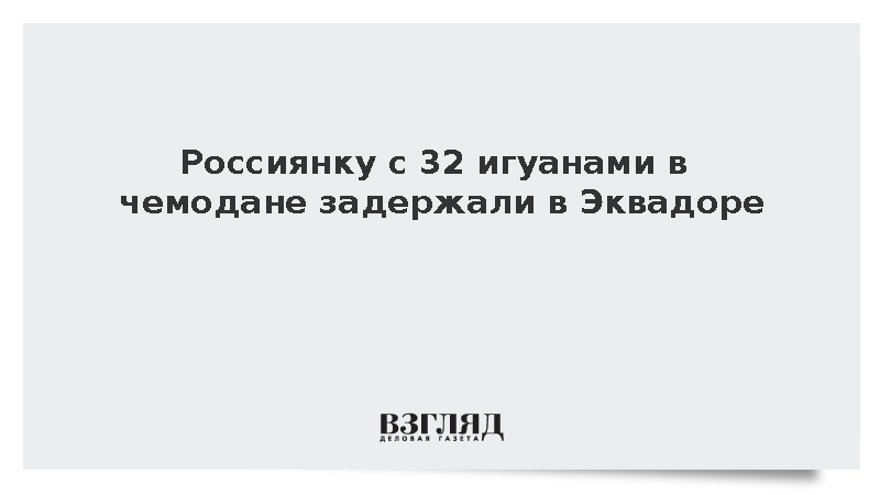 Полиция Эквадора задержала гражданку России с 32 игуанами в чемодане