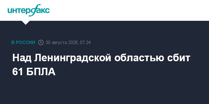 Над Ленинградской областью сбит 61 БПЛА